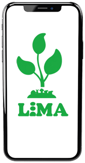 Organic honey dripping from honeycomb with bees, showing natural beekeeping in East Africa.