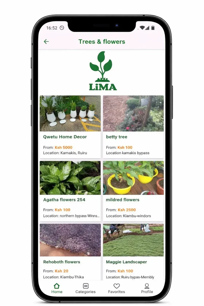 Organic vegetables grown without synthetic chemicals,organic food production